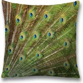 Декоративная наволочка JOYARTY