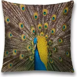 Декоративная наволочка JOYARTY