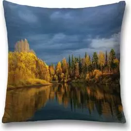 Декоративная наволочка JOYARTY