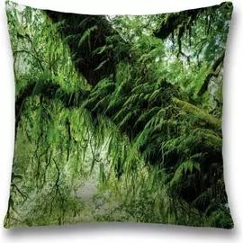 Декоративная наволочка JOYARTY