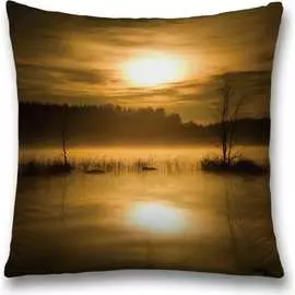 Декоративная наволочка JOYARTY