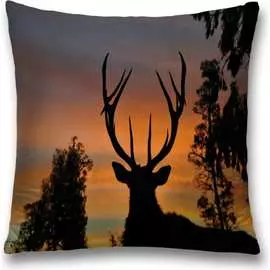 Декоративная наволочка JOYARTY sl_12792