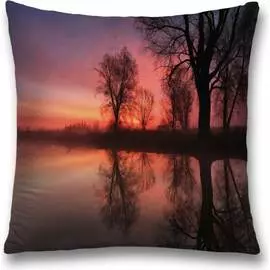 Декоративная наволочка JOYARTY sl_19670