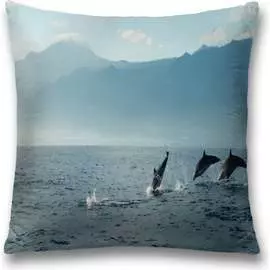 Декоративная наволочка JOYARTY