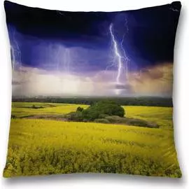 Декоративная наволочка JOYARTY