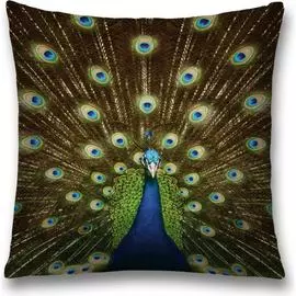 Декоративная наволочка JOYARTY sl_12582