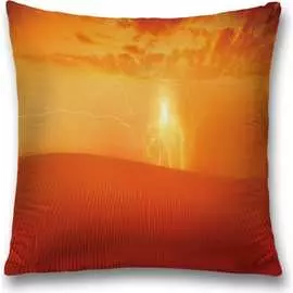 Декоративная наволочка JOYARTY