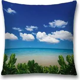 Декоративная наволочка JOYARTY sl_12477