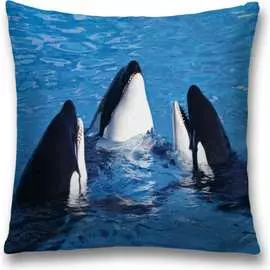 Декоративная наволочка JOYARTY