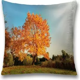 Декоративная наволочка JOYARTY