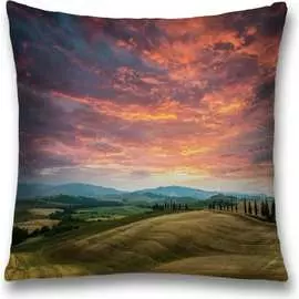 Декоративная наволочка JOYARTY sl_10906