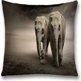 Декоративная наволочка JOYARTY sl_12637