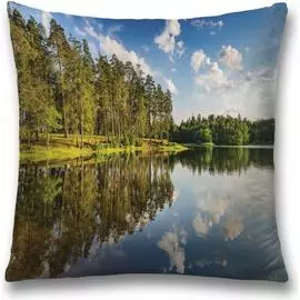 Декоративная наволочка JOYARTY