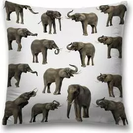 Декоративная наволочка JOYARTY sl_12638