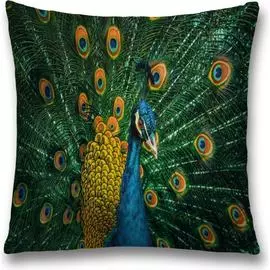 Декоративная наволочка JOYARTY sl_12583