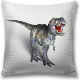 Декоративная наволочка JOYARTY