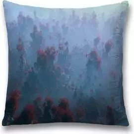 Декоративная наволочка JOYARTY