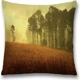 Декоративная наволочка JOYARTY sl_12895