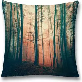 Декоративная наволочка JOYARTY sl_12886