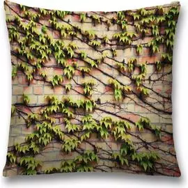 Декоративная наволочка JOYARTY