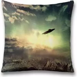 Декоративная наволочка JOYARTY