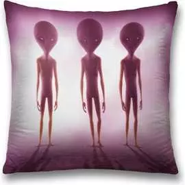 Декоративная наволочка JOYARTY