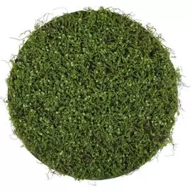 Декоративная панель Greengo