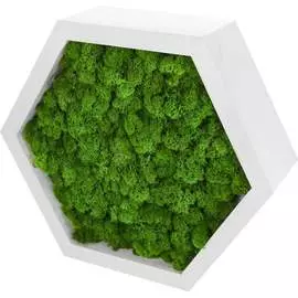 Декоративная полка Бацькина баня