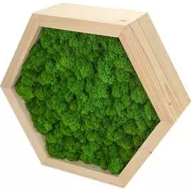 Декоративная полка Бацькина баня