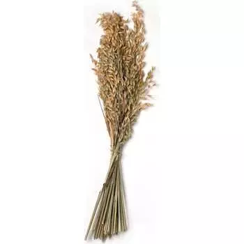 Декоративное изделие Стильный Дом ОВЁС 51367