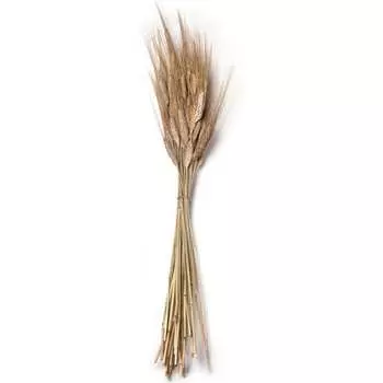 Декоративное изделие Стильный Дом ПШЕНИЦА 51336