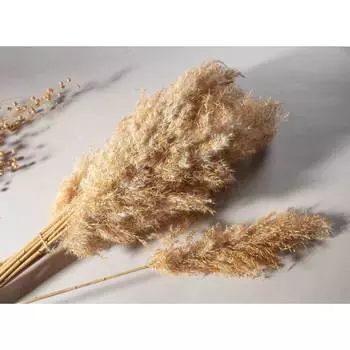 Декоративное изделие Стильный Дом Камыш 46622