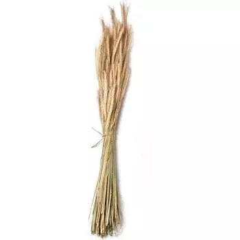 Декоративное изделие Стильный Дом РОЖЬ 51350