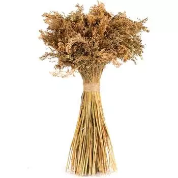 Декоративное изделие Стильный Дом Сорго вейничное 65128