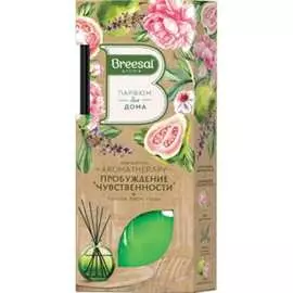 Декоративный ароматизатор Breesal Arome Sticks ARST/001