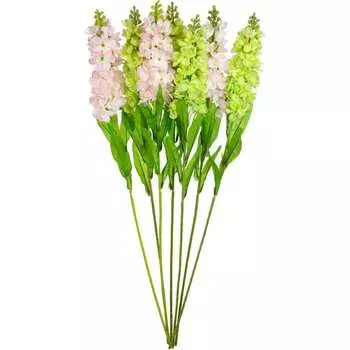 Декоративный гиацинт Вещицы