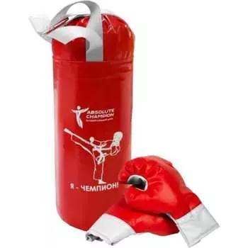 Детский игровой набор Absolute Champion