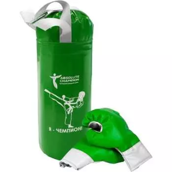 Детский игровой набор Absolute Champion