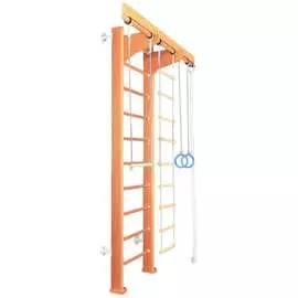 Детский спортивный комплекс карусель 2д.02.02 к стене + тренажёр для осанки №2 светлый сг000001594