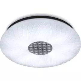 Диммируемая светодиодная люстра RITTER