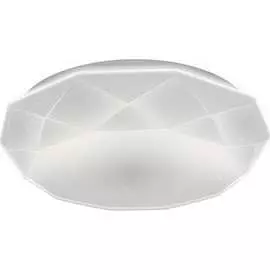 Диммируемый светильник RITTER