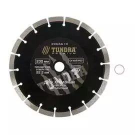 Диск алмазный отрезной pro (230х22 мм; повышенный ресурс; сегментный; сухой рез) tundra 2966613