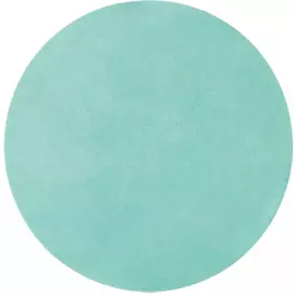 Шлифовальный диск БАЗ