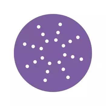 Диск шлифовальный SANDWOX Purple Zirconia 328.225.060.24