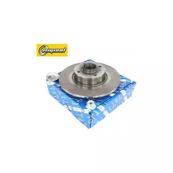 Диск тормозной Riginal RGDF1032BP