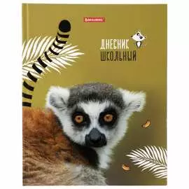 Дневник BRAUBERG