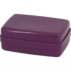 Дорожная мыльница Заря