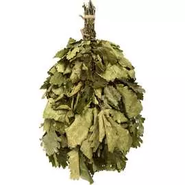 Дубовый веник Банные штучки