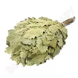 Дубовый веник Банные штучки