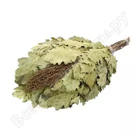 Дубовый веник Банные штучки 32010